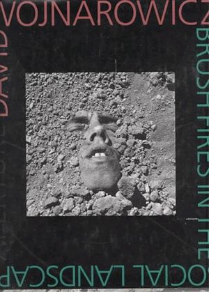 David Wojnarowicz : Brush Fires in the Social Landscape image number 0