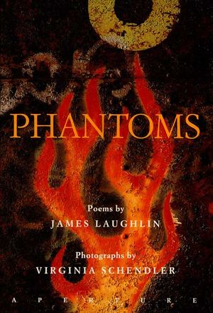 Phantoms : Poems image number 0