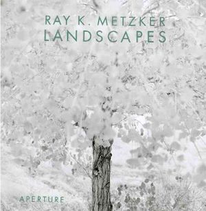 Ray K. Metzker: Landscapes image number 0