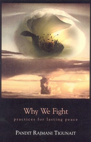 Why We Fight: Practices for Lasting Peace (Revised) image number 0