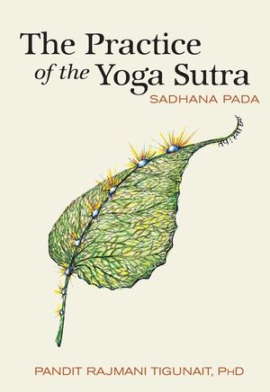 The Practice of the Yoga Sutra: Sadhana Pada image number 0