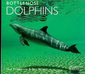 Bottlenose Dolphins image number 0