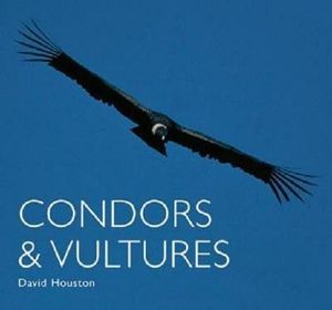 Condors and Vultures image number 0