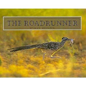 The Roadrunner image number 0