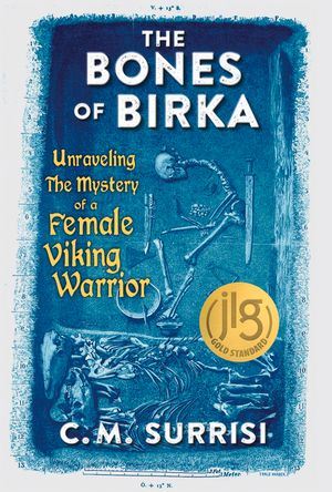 The Bones of Birka: Unraveling the Mystery of a Female Viking Warrior image number 0