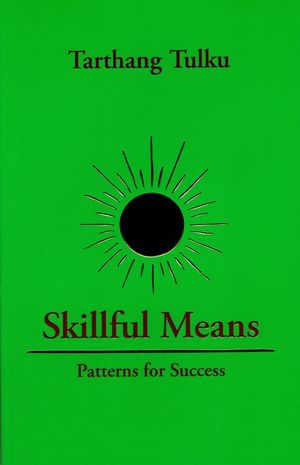 Skillful Means: Patterns for Success image number 0