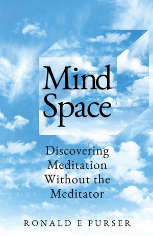 Mind Space: Discovering Meditation Without the Meditator image number 0