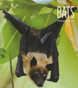 Living Wild: Bats image number 0