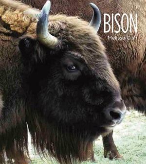 Living Wild: Bison image number 0