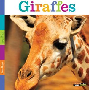 Seedlings: Giraffes image number 0