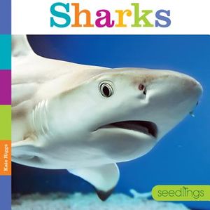 Sharks image number 0