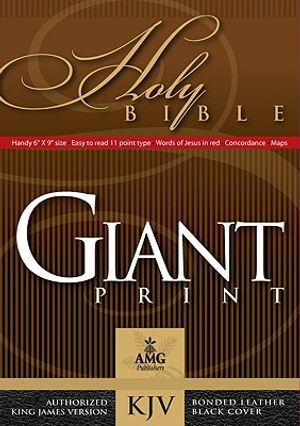 Giant Print Handy-Size Bible image number 0