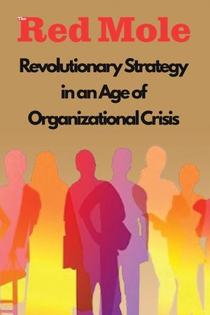 Revolutionary Strategy in an Age of Organizational Crisis image number 0