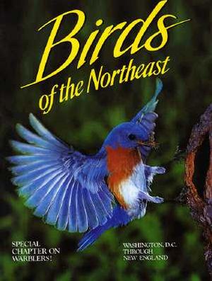 Birds of the Northeast: Washington, D.C. Through New England image number 0
