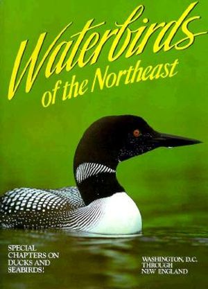 Waterbirds of the Northeast: Washington, D.C. Through New England image number 0