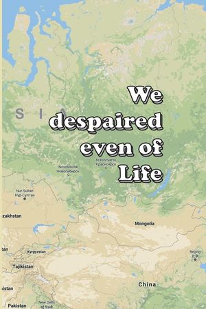 We despaired even of Life image number 0