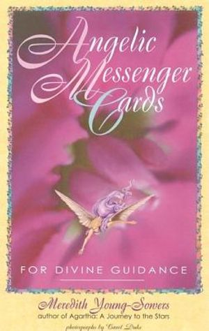 Angelic Messenger Cards: A Divination System for Self-Discovery [With 48 Full Color Cards] image number 0