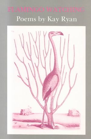 Flamingo Watching image number 0