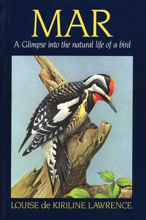 Mar : A Glimpse into the Natural Life of a Bird image number 0