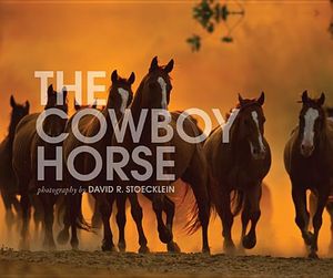 The Cowboy Horse image number 0