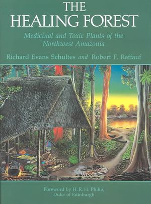 Healing Forest image number 0