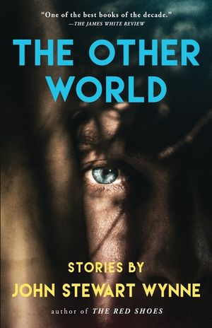 The Other World: Stories by John Stewart Wynne image number 0