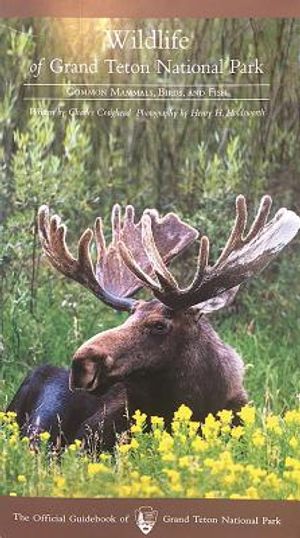 Wildlife of Grand Teton National Park image number 0