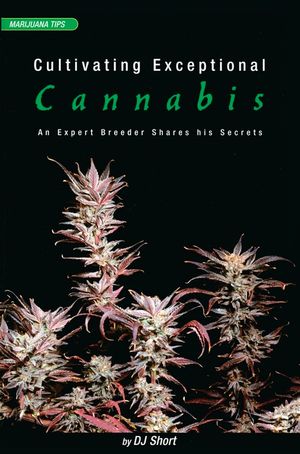 Cultivating Exceptional Cannabis: An Expert Breeder Shares His Secrets image number 0