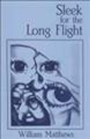 Sleek for the Long Flight image number 0