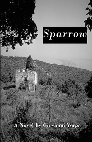 Sparrow image number 0