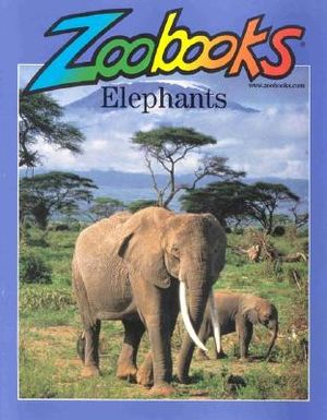 Elephants image number 0