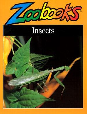 Insects image number 0