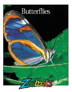 Butterflies image number 0