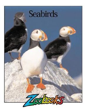 Seabirds image number 0