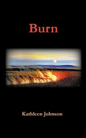 Burn image number 0
