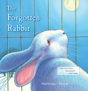 The Forgotten Rabbit image number 0
