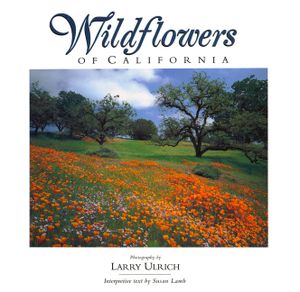 Wildflowers of California image number 0