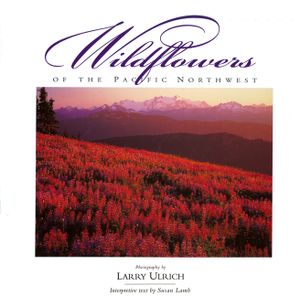 Wildflowers of the Pacific Northwest image number 0