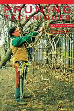 Pruning Techniques image number 0