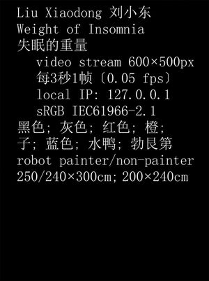 Liu Xiaodong: Weight of Insomnia image number 0