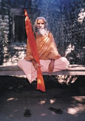 Dandi Swami: The Story of the Guru's Will, Maharishi Mahesh Yogi, the Shankaracharyas of Jyotir Math, & Meetings with Dandi Swami N image number 0