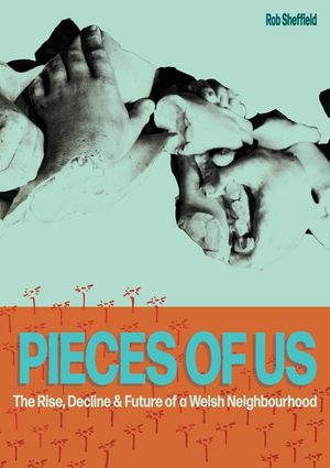 Pieces of Us image number 0