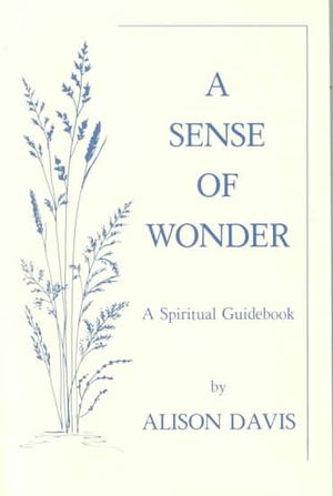 Sense of Wonder : A Spiritual Guidebook image number 0