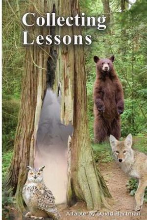 Collecting Lessons: A Fable image number 0