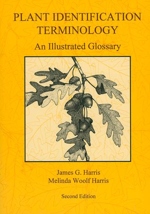 Plant Identification Terminology: An Illustrated Glossary image number 0