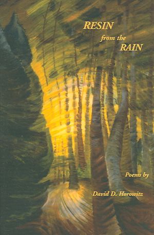 Resin from the Rain image number 0