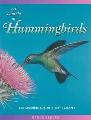 A Dazzle of Hummingbirds: The Colorful Life of a Tiny Scrapper image number 0