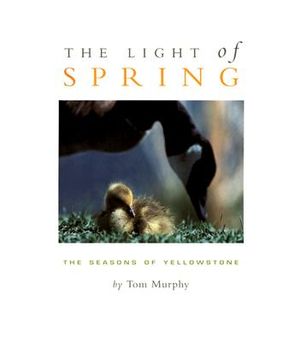 The Light of Spring: The Seasons of Yellowstone image number 0