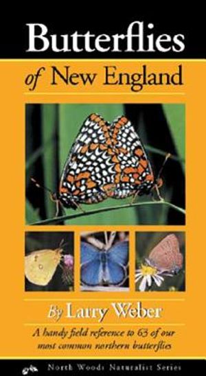 Butterflies of New England image number 0