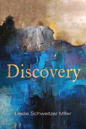 Discovery image number 0
